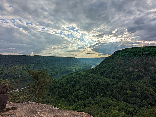 Tennessee River Gorge